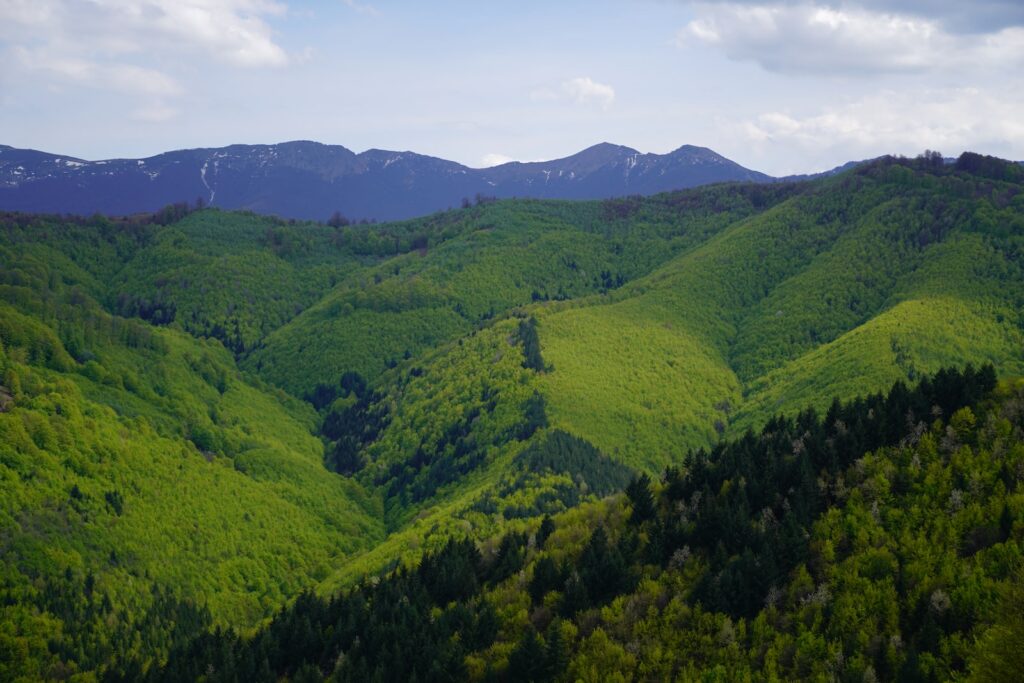 green mountains under blue sky during daytime